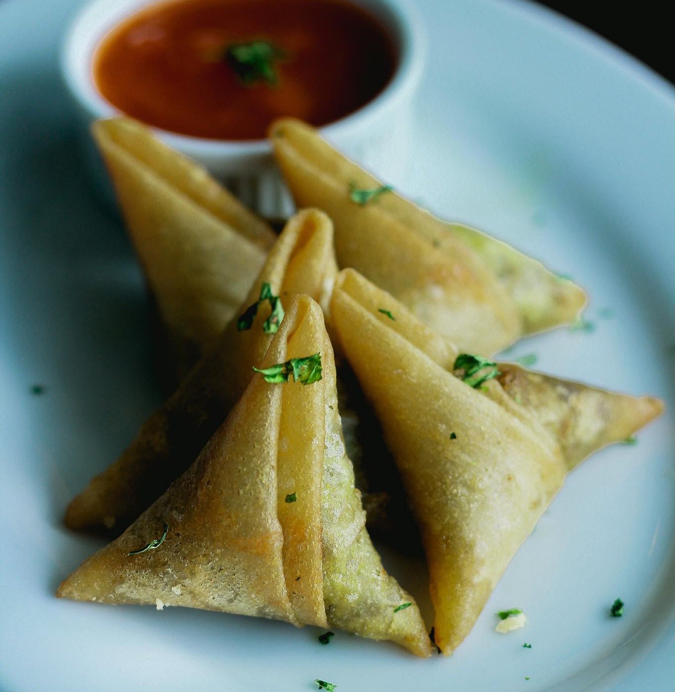 vegetablesamosa img